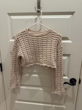 Zara Open-Weave Crochet Sweater in Beige